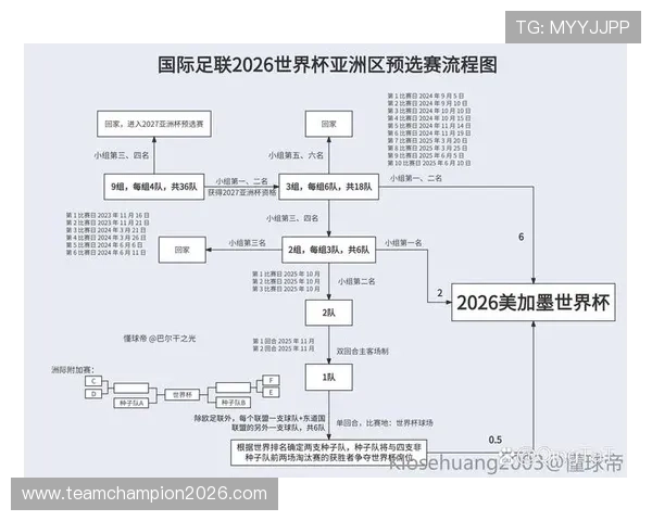 2026年世界杯亚洲名额分配方案全解析，影响亚洲足球未来发展的关键因素